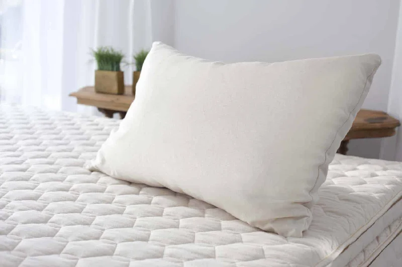 Cotton Pillows for Natural ComfortDown Alternative Pillows for Ethical ChoicesShredded Latex Pillow (Savvy) Cotton Pillows for Natural ComfortDown Alternative Pillows for Ethical ChoicesShredded Latex Pillow (Savvy)
