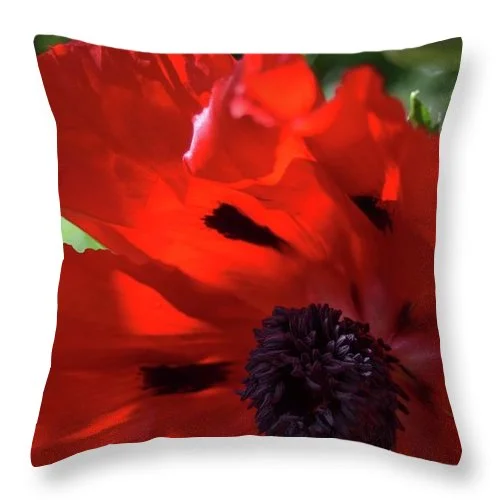 Orthopedic Pillows for Back Pain ReliefEarthWise Designs Poppy IV - Throw Pillow