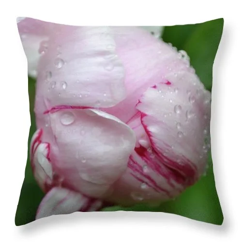 Down Alternative Pillows for Ethical ChoicesEarthWise Designs Spring Rain II - Throw Pillow Down Alternative Pillows for Ethical ChoicesEarthWise Designs Spring Rain II - Throw Pillow