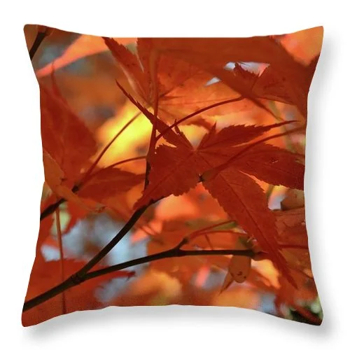 Adjustable Pillows for Customized ComfortEarthWise Designs Autumn I - Throw Pillow