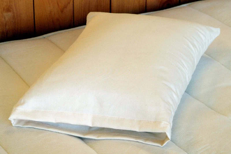 Lumbar Support Pillows for Car SeatsHoly Lamb Organics Travel/Snuggle Pillow
