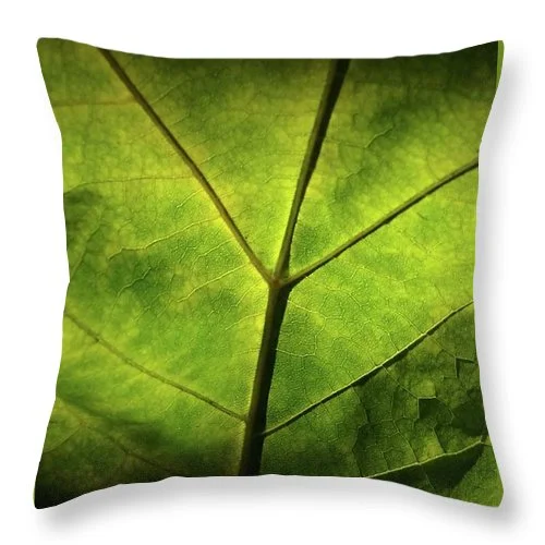 Memory Foam Pillows for Neck SupportEarthWise Designs Leaf II - Throw Pillow