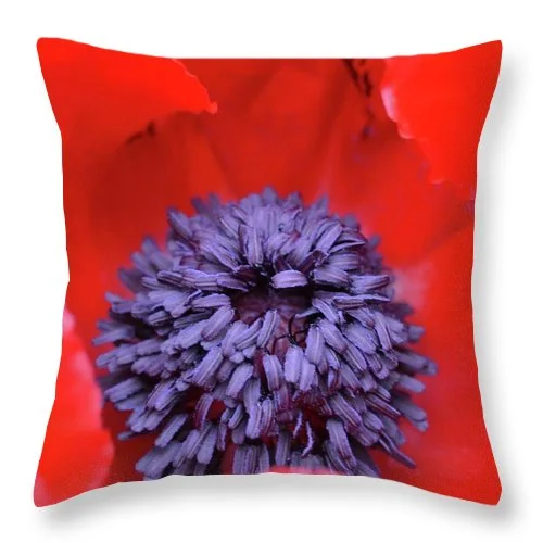 Decorative Pillows for Living Room MakeoverEarthWise Designs Poppy II - Throw Pillow Decorative Pillows for Living Room MakeoverEarthWise Designs Poppy II - Throw Pillow