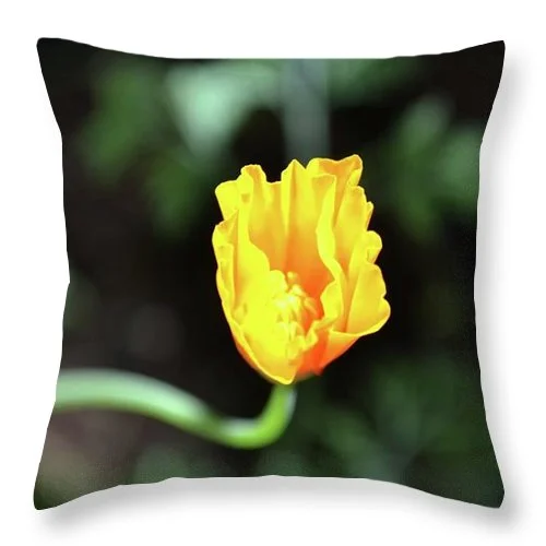 Cotton Pillows for Natural ComfortEarthWise Designs Poppy V - Throw Pillow