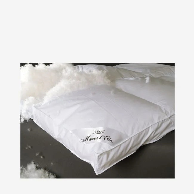 Kids Pillows with Fun DesignsMarie L'Oie | Queen Sibérien Canadien White Goose Down Duvet