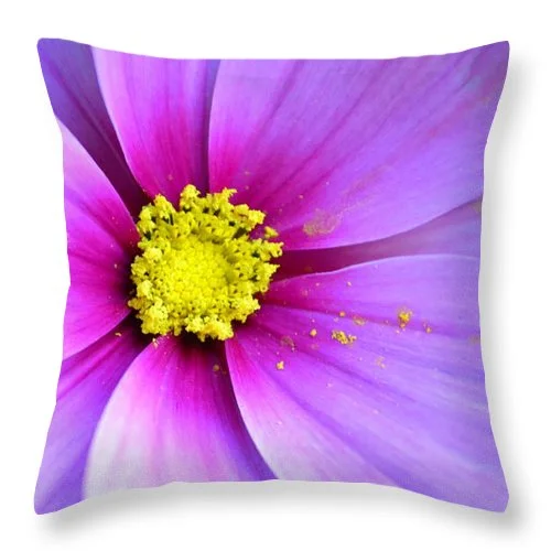Firm Pillows for Side SleepersEarthWise Designs Cosmos II - Throw Pillow