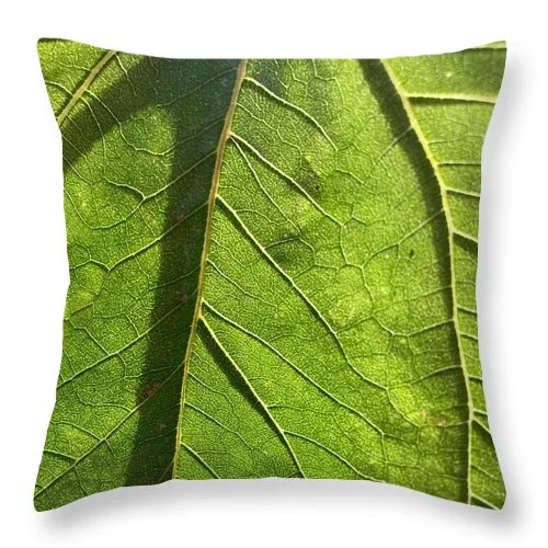 Decorative Pillows for Living Room MakeoverEarthWise Designs Leaf I - Throw Pillow