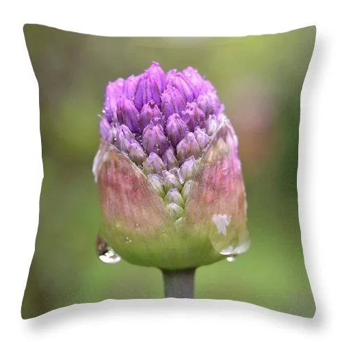 Adjustable Pillows for Customized ComfortEarthWise Designs Spring Rain - Throw Pillow Adjustable Pillows for Customized ComfortEarthWise Designs Spring Rain - Throw Pillow
