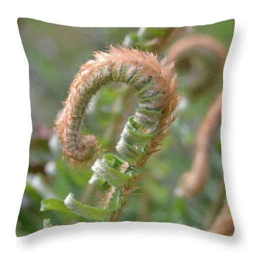 Firm Pillows for Side SleepersEarthWise Designs Fern I - Throw Pillow