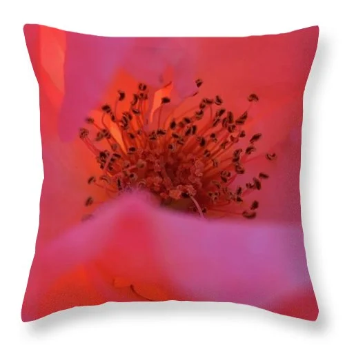 Square Pillows for Modern Home DecorEarthWise Designs Rose I - Throw Pillow