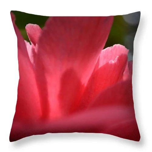 Firm Pillows for Side SleepersEarthWise Designs Camellia - Throw Pillow