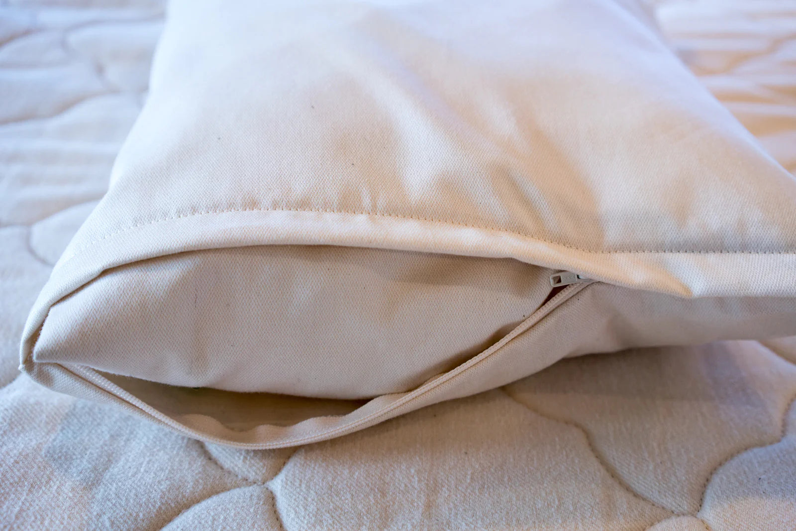 Feather Pillows for a Luxurious SleepSachi Organics Buckwheat & Millet Support Hull Pillow Cover Feather Pillows for a Luxurious SleepSachi Organics Buckwheat & Millet Support Hull Pillow Cover