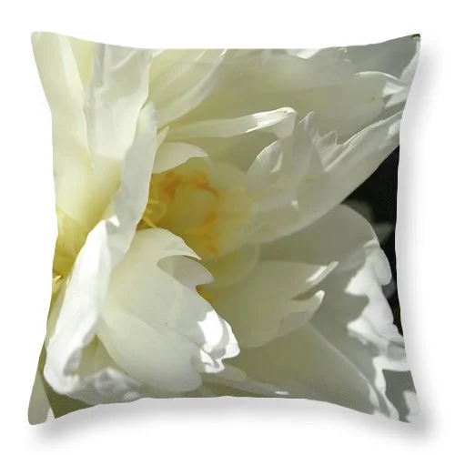 Feather Pillows for a Luxurious SleepEarthWise Designs Peony II - Throw Pillow