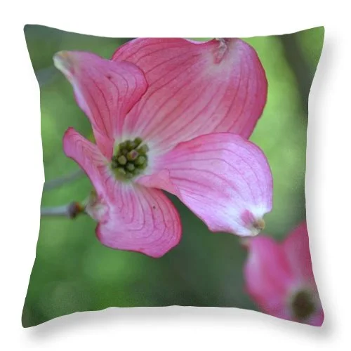 Down Alternative Pillows for Ethical ChoicesEarthWise Designs Dogwood I - Throw Pillow Down Alternative Pillows for Ethical ChoicesEarthWise Designs Dogwood I - Throw Pillow