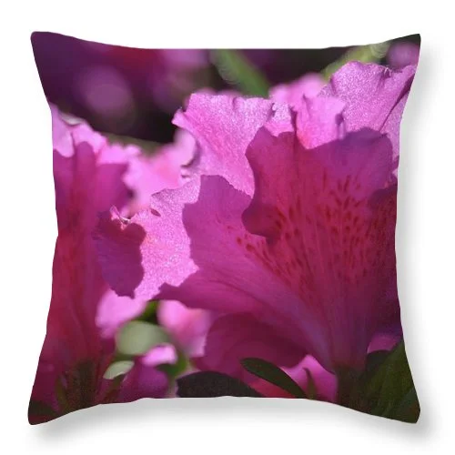 Pregnancy Pillows for Expectant MothersEarthWise Designs Azalea I - Throw Pillow