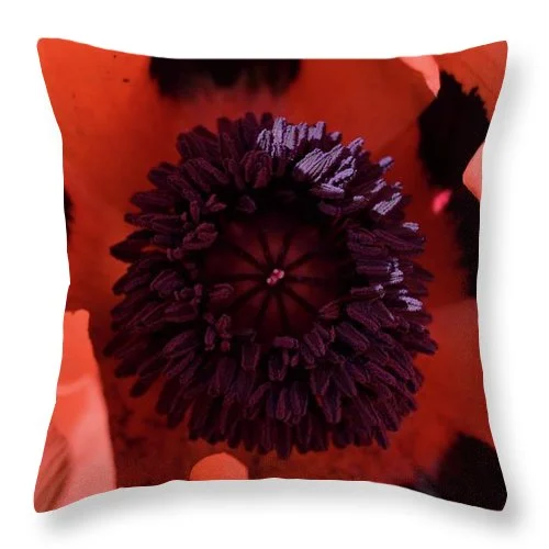Kids Pillows with Fun DesignsEarthWise Designs Poppy I - Throw Pillow