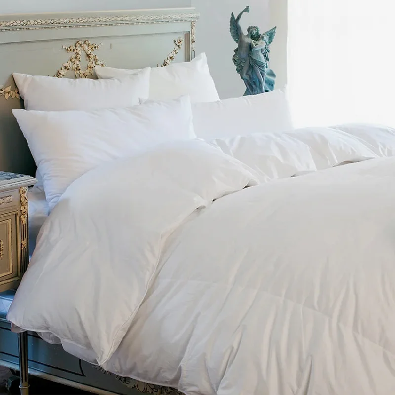 Silk Pillows for Smooth Skin and HairSt-Genève | Ziegler Duvet