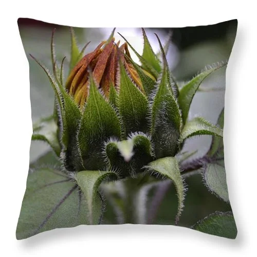 Memory Foam Pillows for Neck SupportEarthWise Designs Sunflower II - Throw Pillow