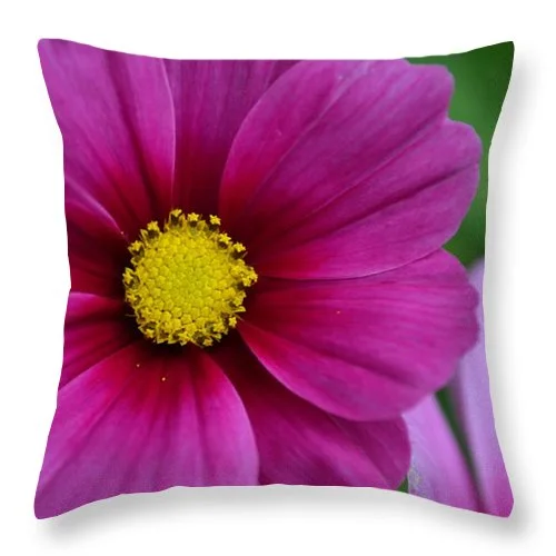 Hypoallergenic Pillows for Allergy SufferersEarthWise Designs Cosmos I - Throw Pillow Hypoallergenic Pillows for Allergy SufferersEarthWise Designs Cosmos I - Throw Pillow